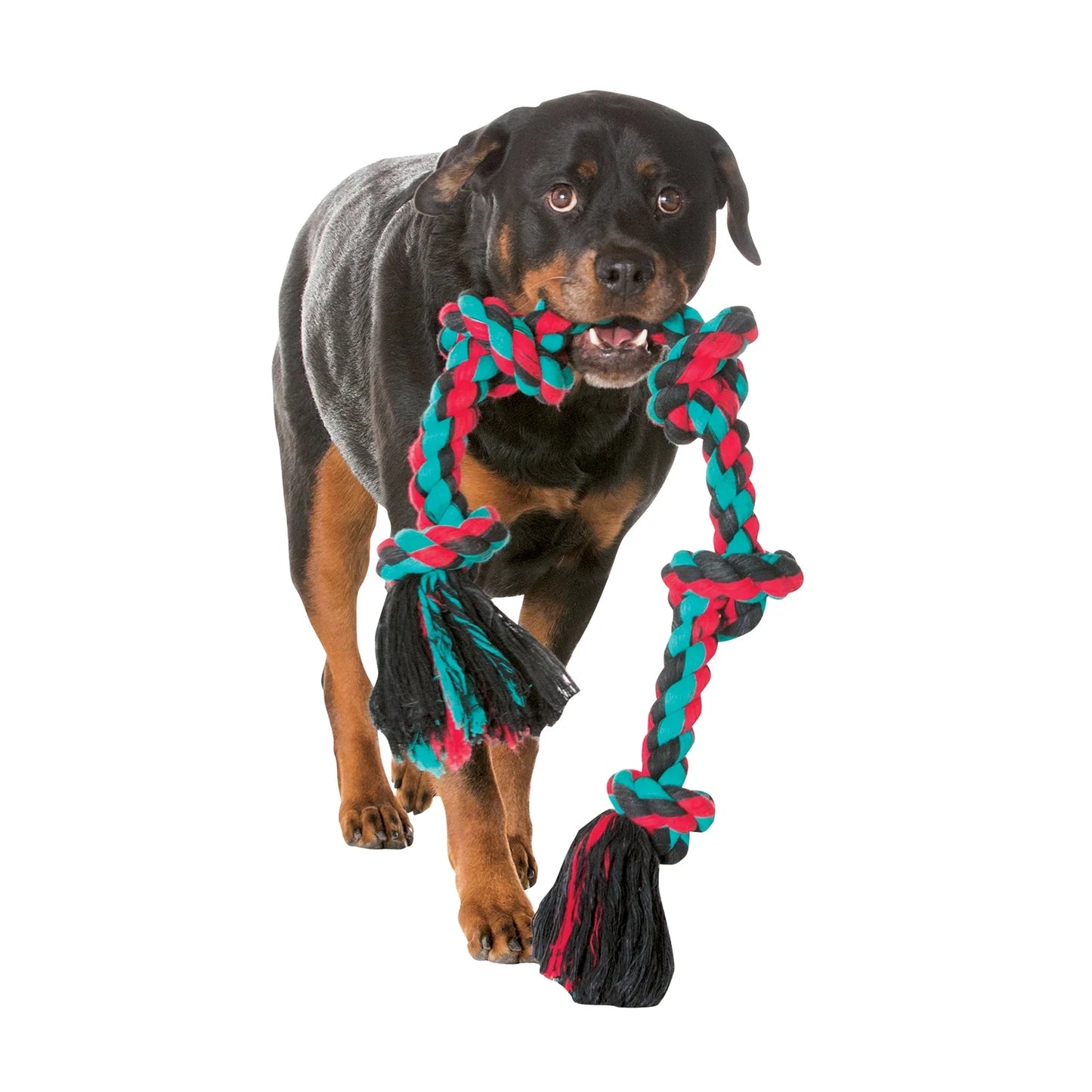 Flossy Chews Cottonblend Bone Rope Dog Toy, Colossal, 19", Assorted Colors